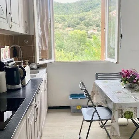 F3 Avec Wi-fi, Clim Portable & Parking A Amelie-les-bains - Fr-1-703-200 *