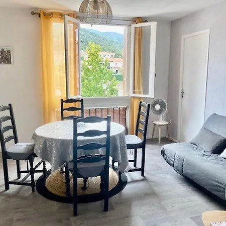 F3 Avec Wi-fi, Clim Portable & Parking A Amelie-les-bains - Fr-1-703-200 Apartment