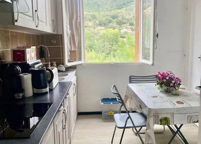 F3 A Amelie-les-bains Avec Wifi Et Climatisation Portative Pour 4 Personnes - Fr-1-703-200 *