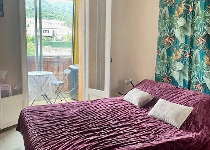 F3 A Amelie-les-bains Avec Wifi Et Climatisation Portative Pour 4 Personnes - Fr-1-703-200 Apartmán *