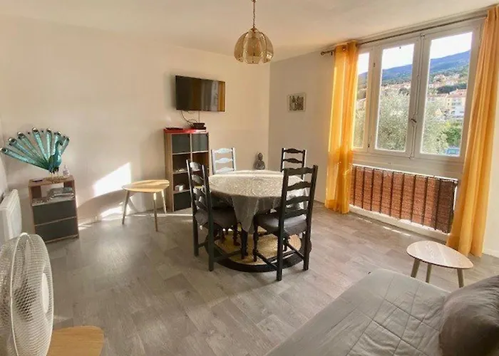 F3 A Amelie-les-bains Avec Wifi Et Climatisation Portative Pour 4 Personnes - Fr-1-703-200 *